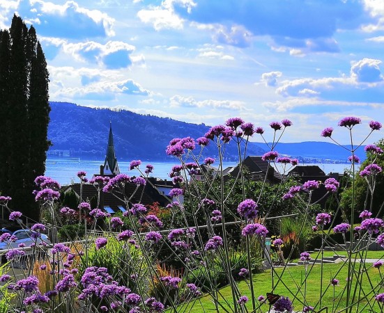 4 IMG_20200718_170646 zugeschnitten 1