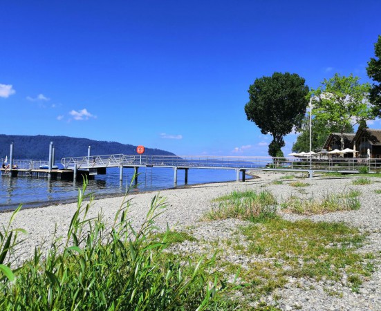 10 IMG_20200521_110657