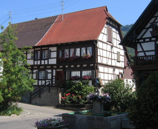 16 IMG_2975Zugeschnitten