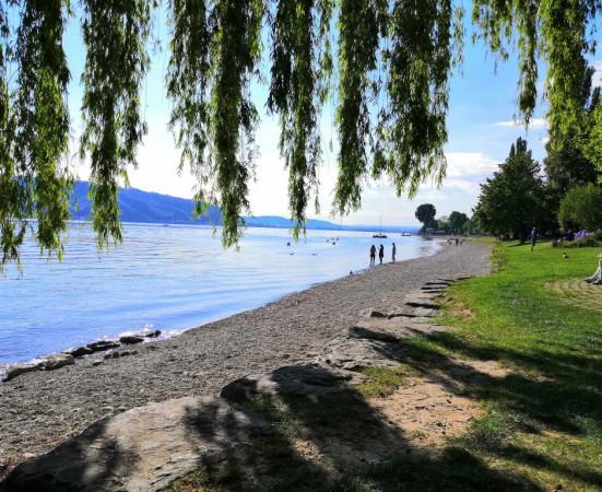 7 IMG_20200518_173415