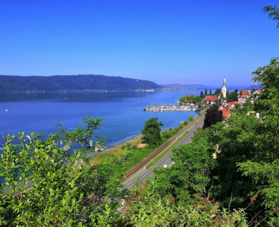 10 IMG_20200521_085840