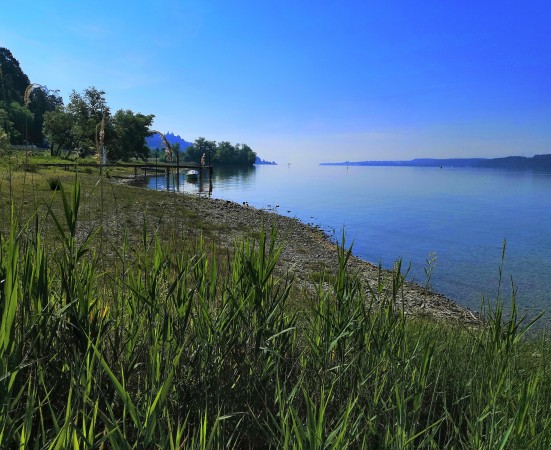 10 IMG_20200521_091817 zugeschnitten Farbe Helligkeit