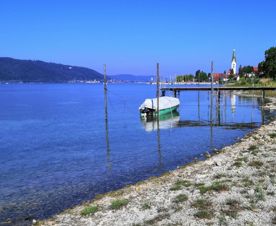 12 IMG_20200521_091027 zugeschnitten