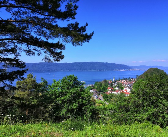 1 IMG_20200521_104405