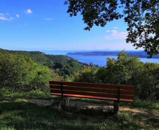 3 IMG_20210917_162134 zugeschnitten