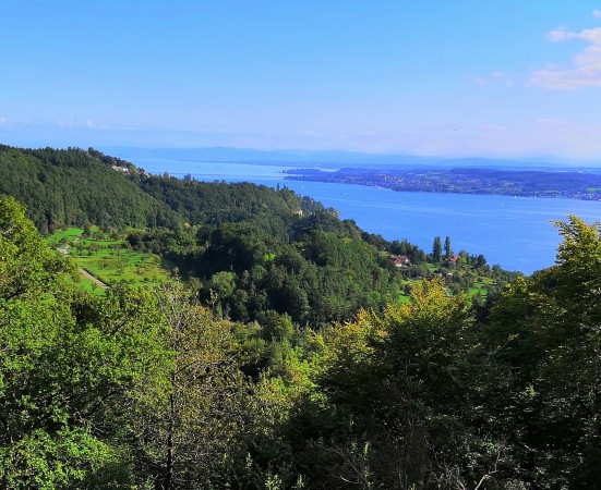 4 IMG_20210917_162149 zugeschnitten