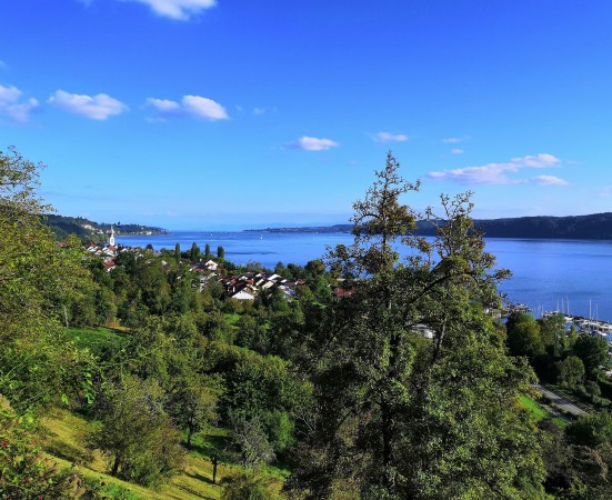 5 IMG_20210917_171214 zugeschnitten