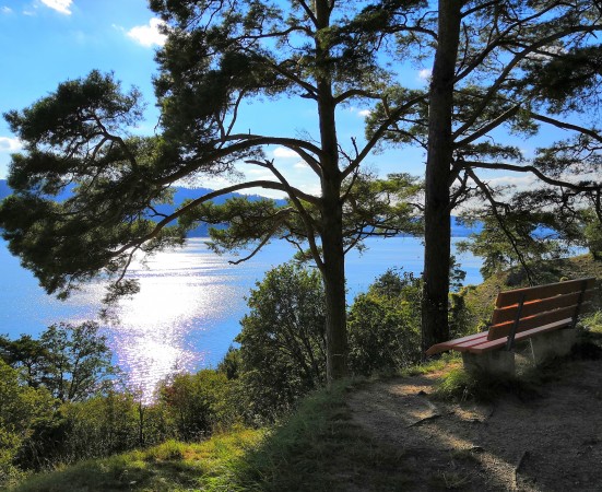 6 IMG_20210917_170534 zugeschnitten