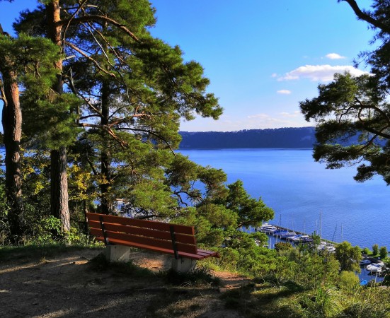 7 IMG_20210917_170708 zugeschnitten