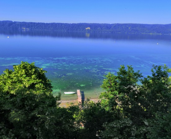 8.1  IMG_20200521_085450