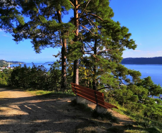 8 IMG_20210917_170741 ausrichten